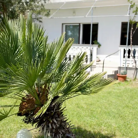 Big Beachfront Smokvica In Apartment Trogir