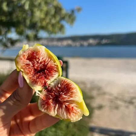 Smokvica Beachfront Apartment Trogir